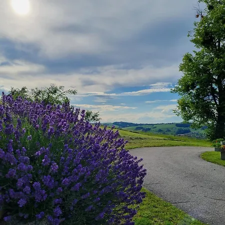 Unterbrandlberg Apartment *